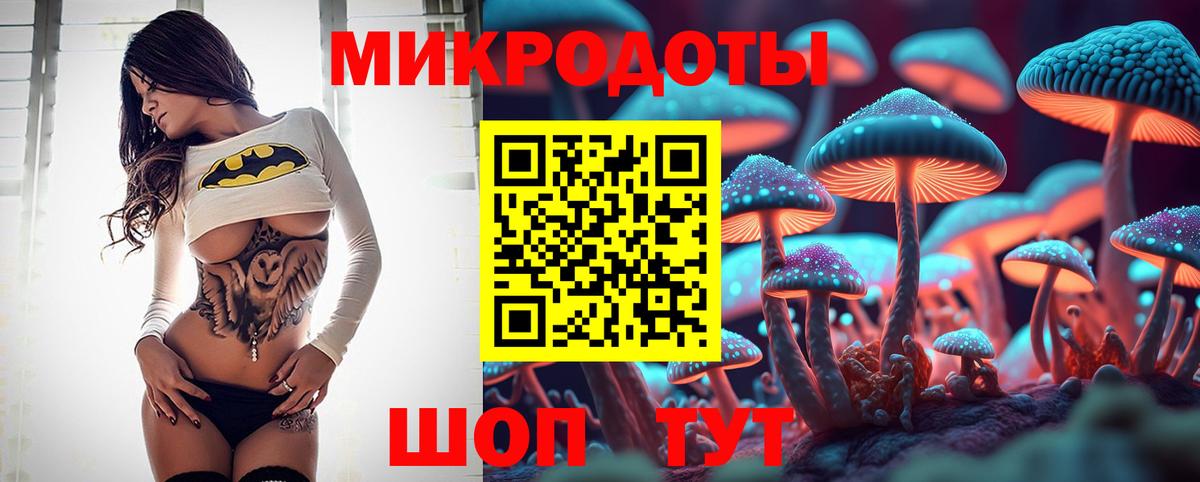 Галлюциногенные грибы Magic Shrooms Великий Новгород